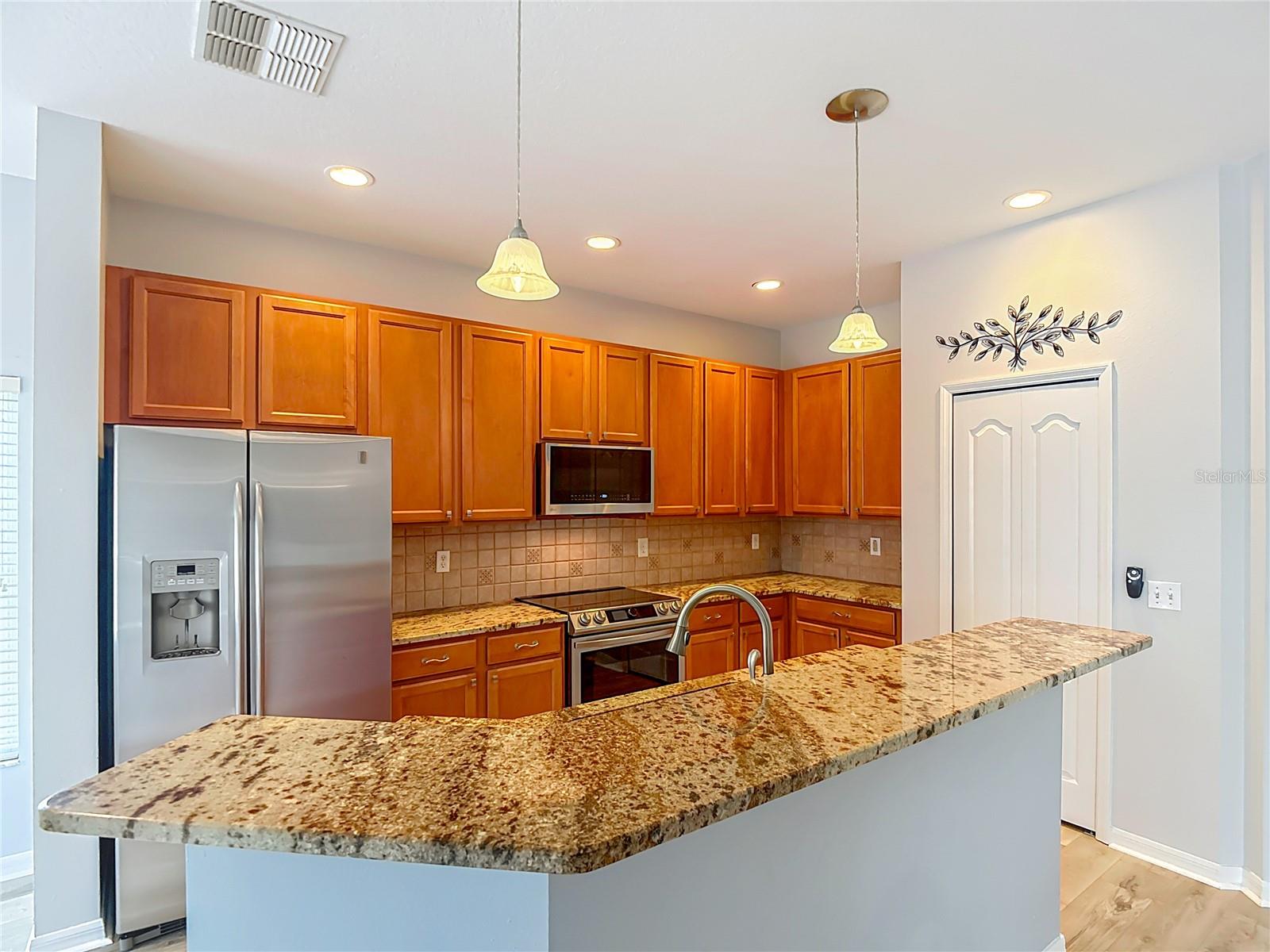 3238 SAGO POINT CT, LAND O LAKES, FL, 34639