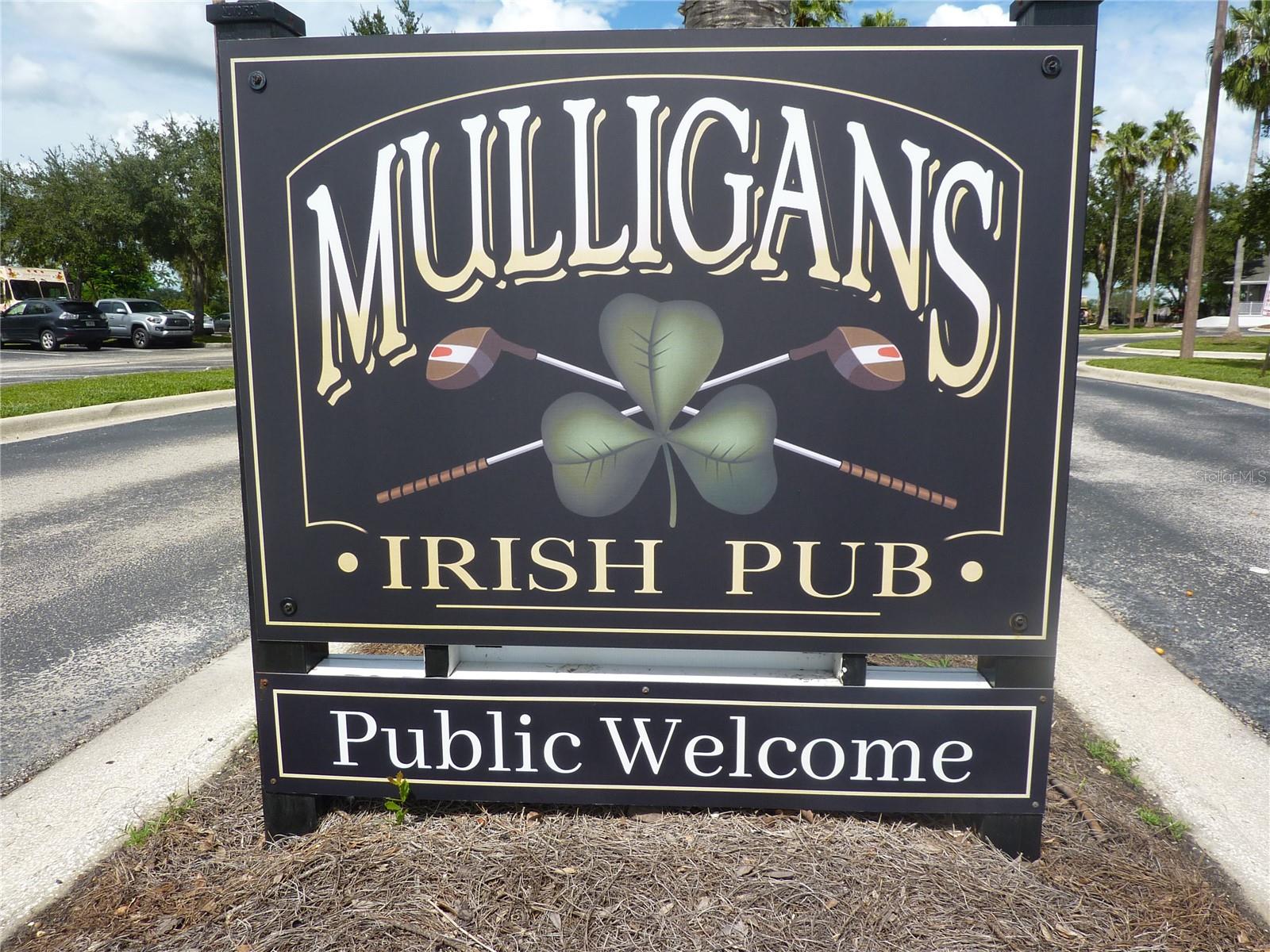 3238 SAGO POINT CT, LAND O LAKES, FL, 34639