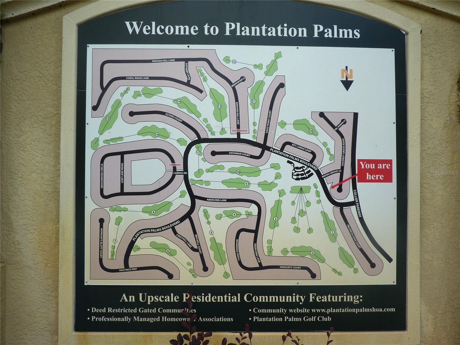 3238 SAGO POINT CT, LAND O LAKES, FL, 34639