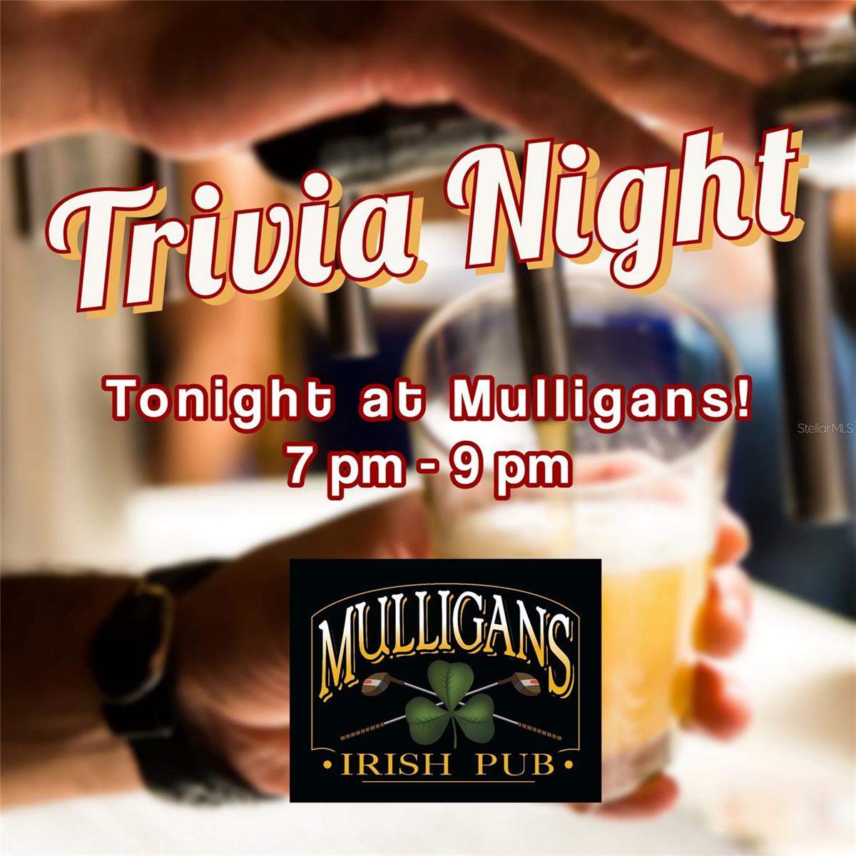 3238 SAGO POINT CT, LAND O LAKES, FL, 34639