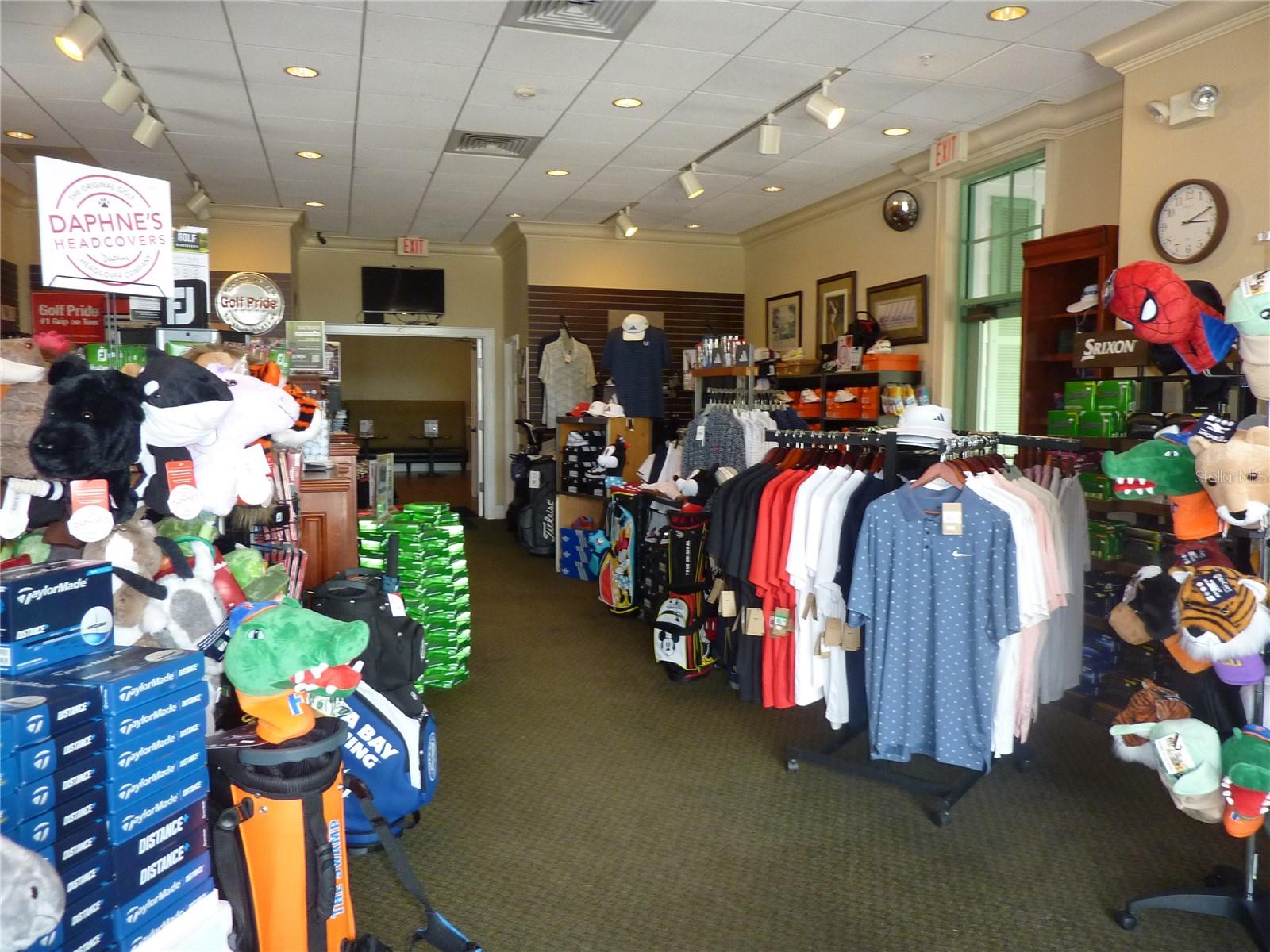 3238 SAGO POINT CT, LAND O LAKES, FL, 34639