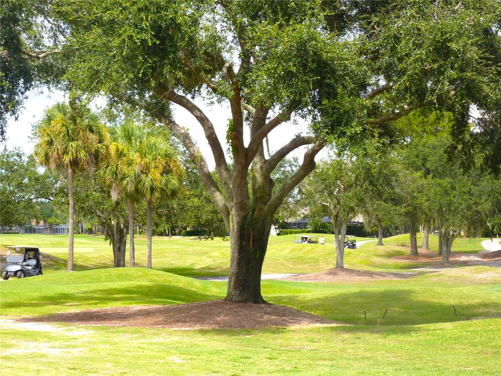 3238 SAGO POINT CT, LAND O LAKES, FL, 34639