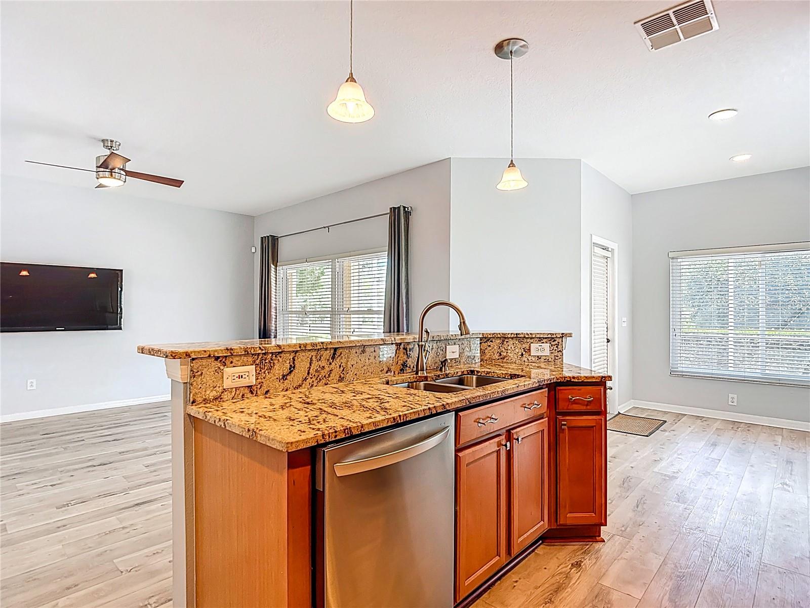 3238 SAGO POINT CT, LAND O LAKES, FL, 34639