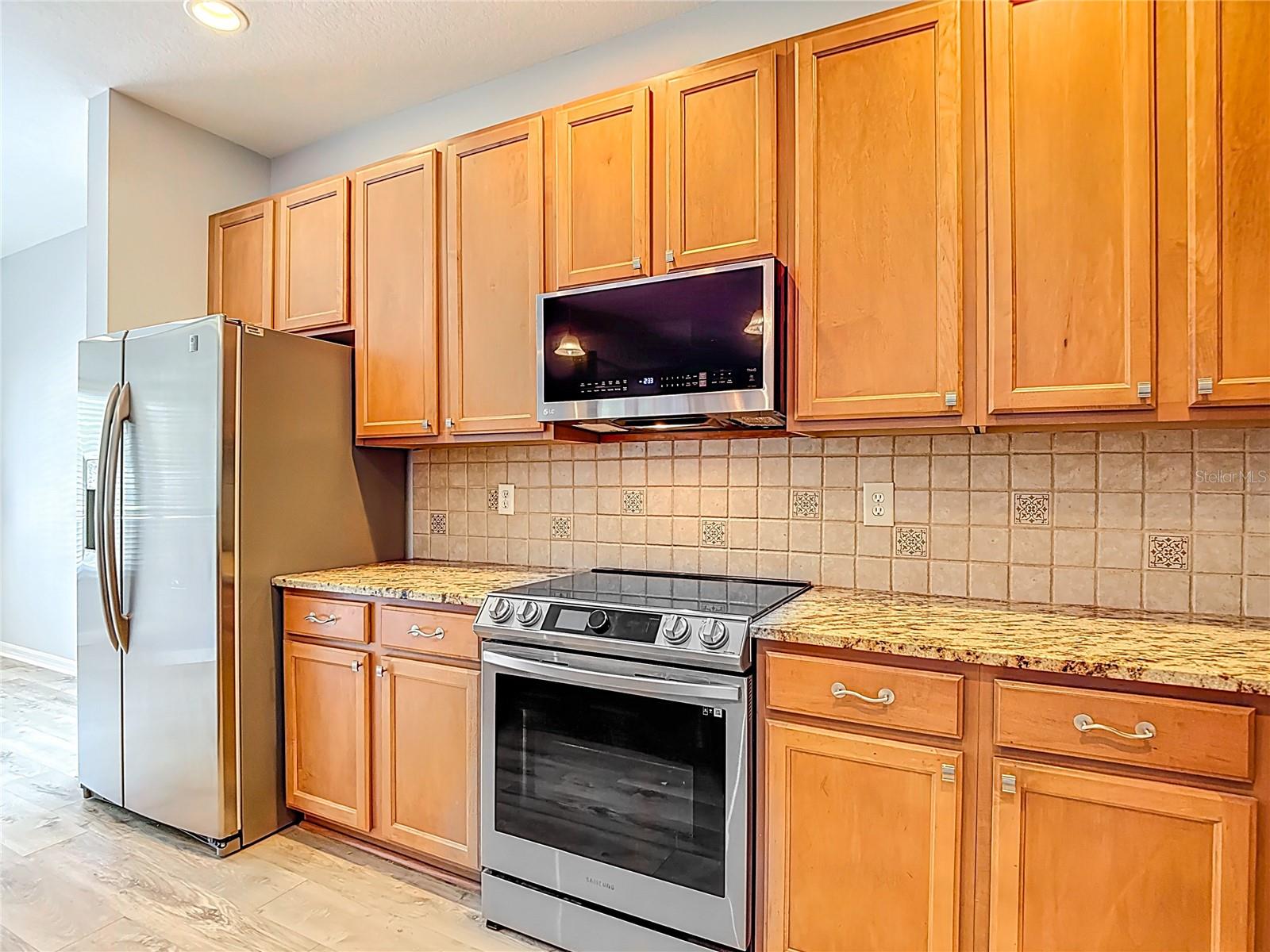 3238 SAGO POINT CT, LAND O LAKES, FL, 34639