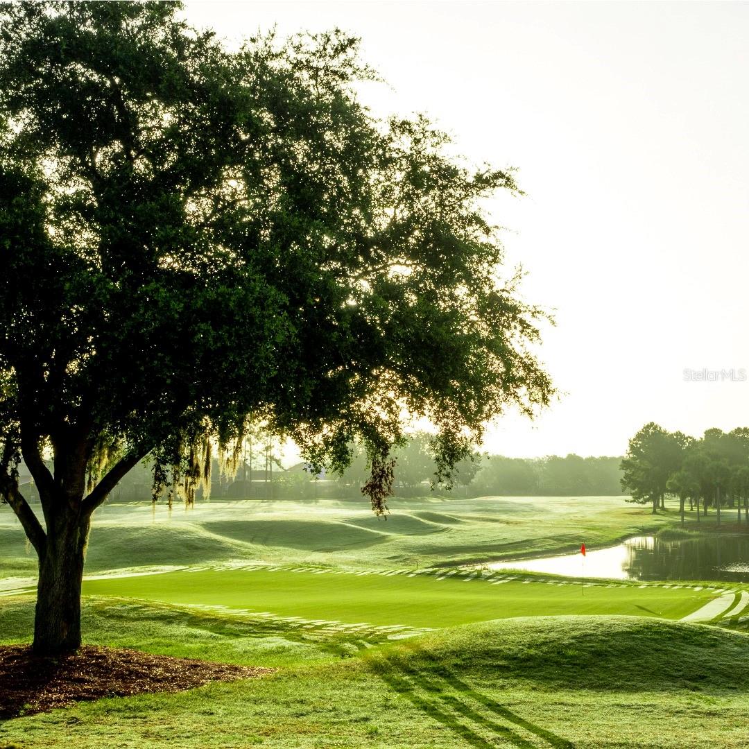 3238 SAGO POINT CT, LAND O LAKES, FL, 34639