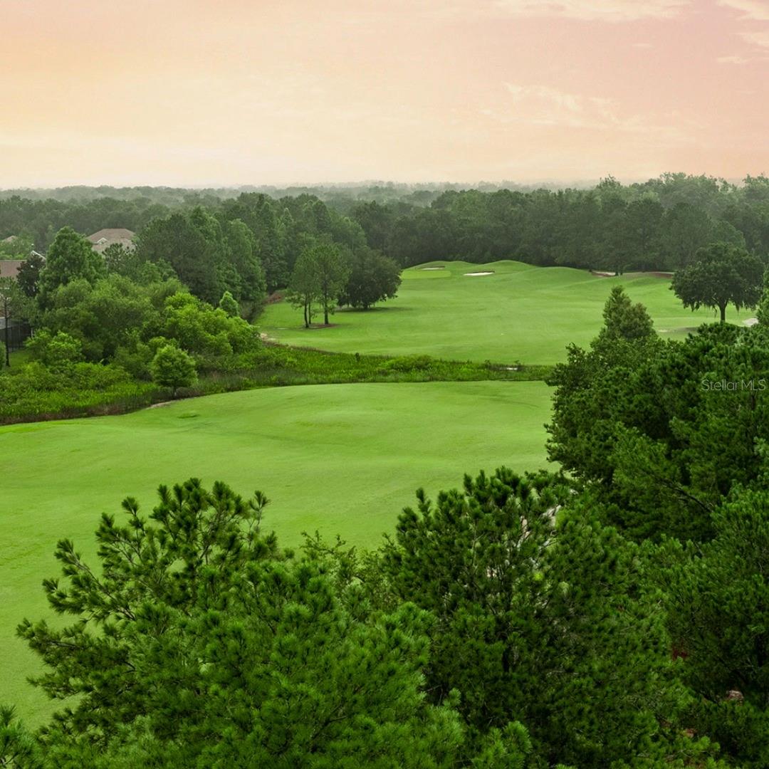 3238 SAGO POINT CT, LAND O LAKES, FL, 34639