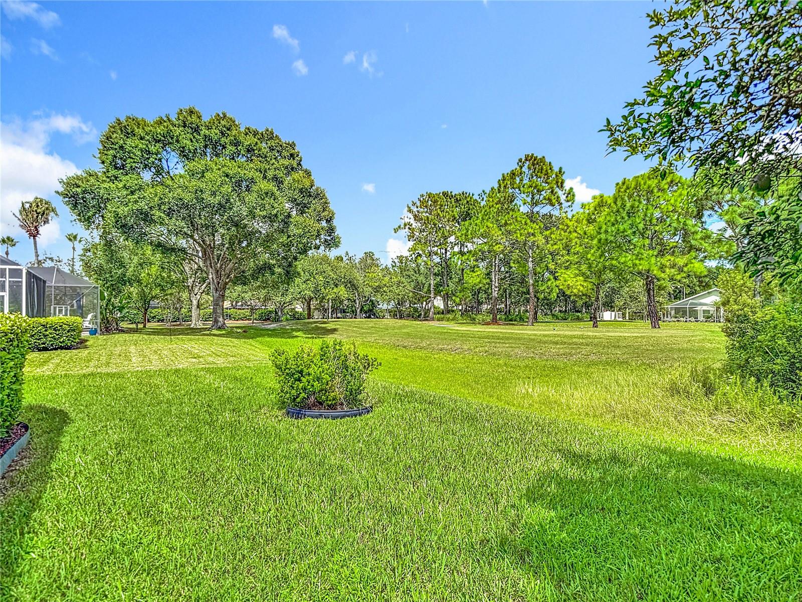 3238 SAGO POINT CT, LAND O LAKES, FL, 34639