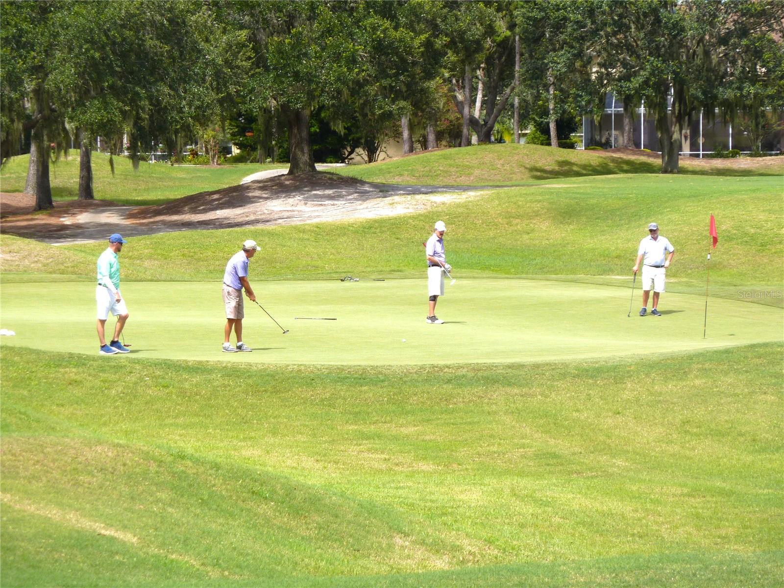 3238 SAGO POINT CT, LAND O LAKES, FL, 34639