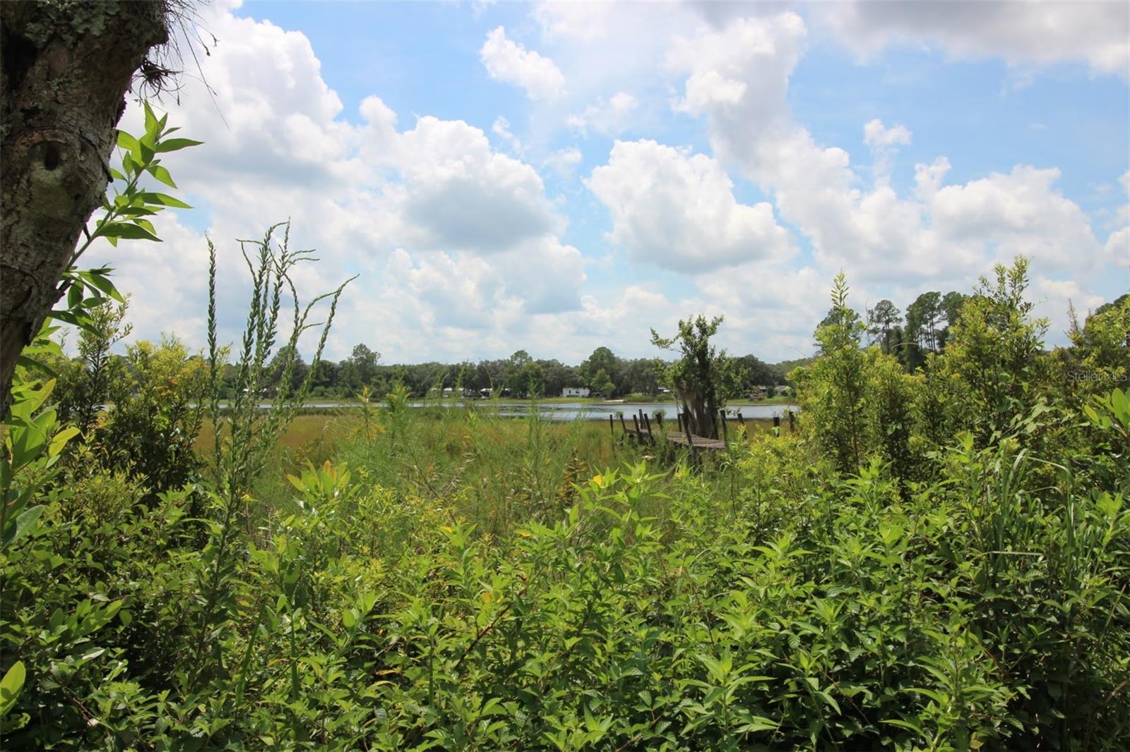 GC533710 Property Photo