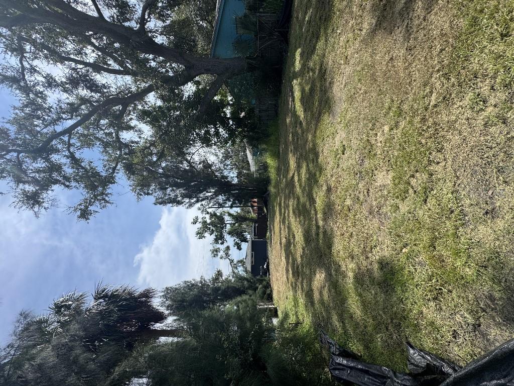 642 PARIS AVE S, ST PETERSBURG, FL, 33701