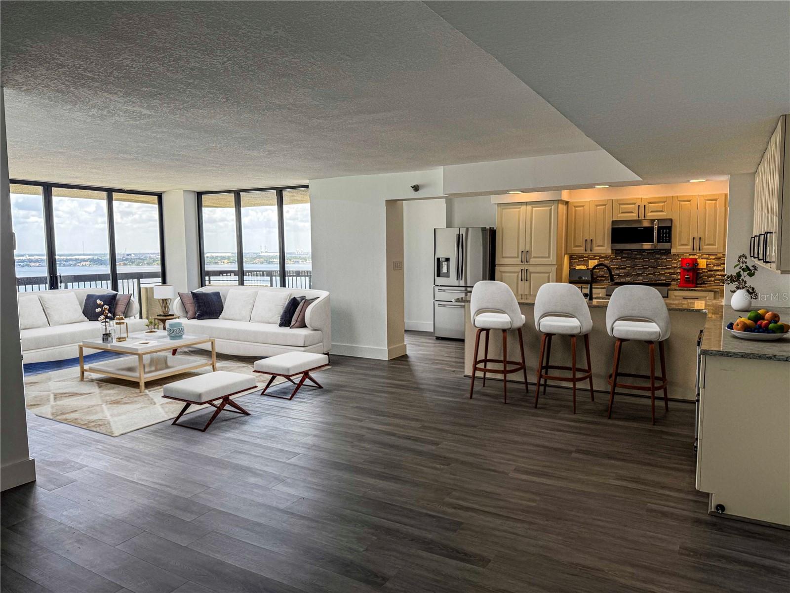 Living room and kitchen