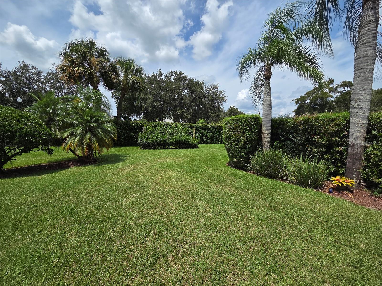 9251 ALCOTT WAY, TRINITY, FL, 34655