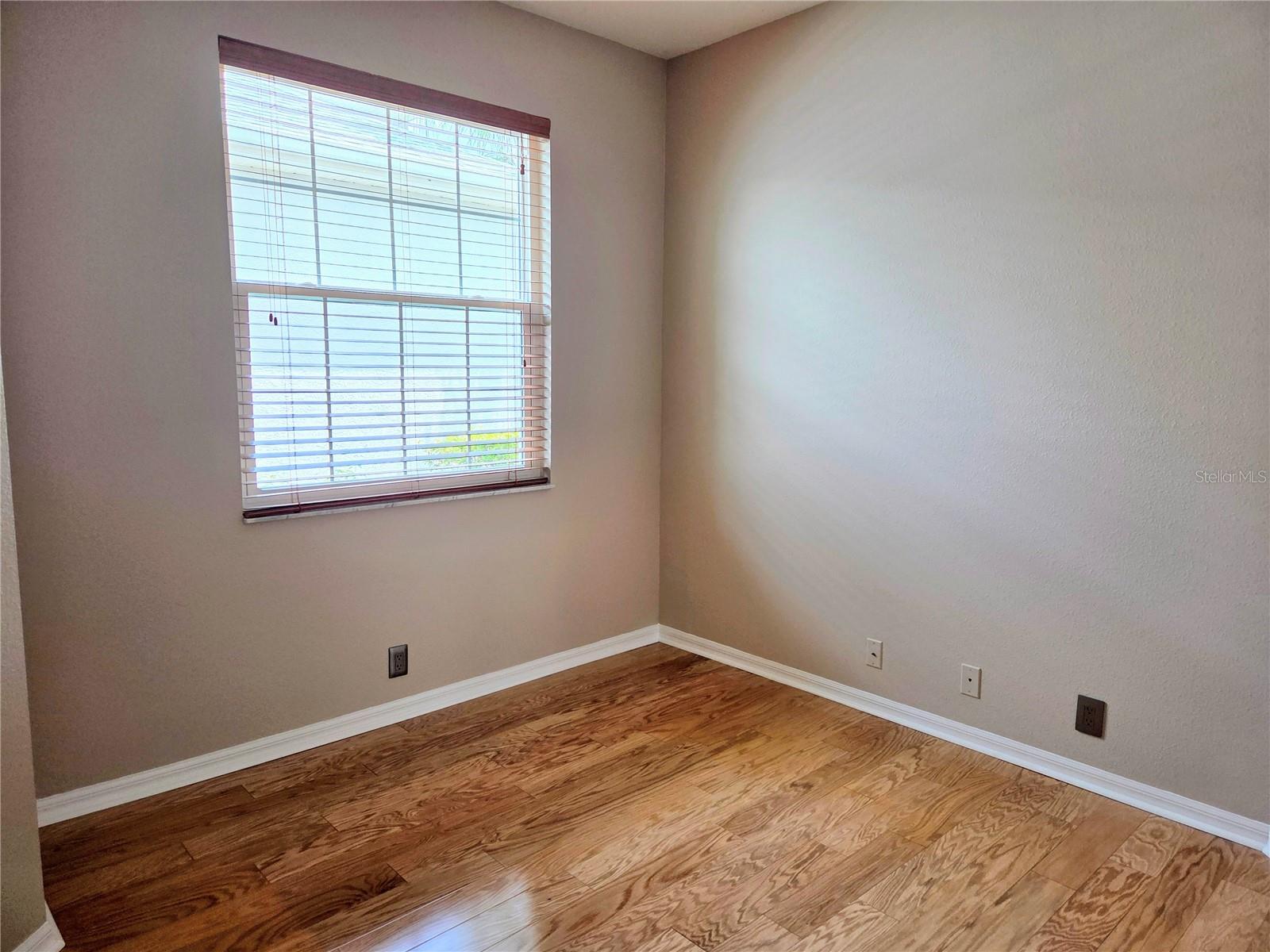 9251 ALCOTT WAY, TRINITY, FL, 34655