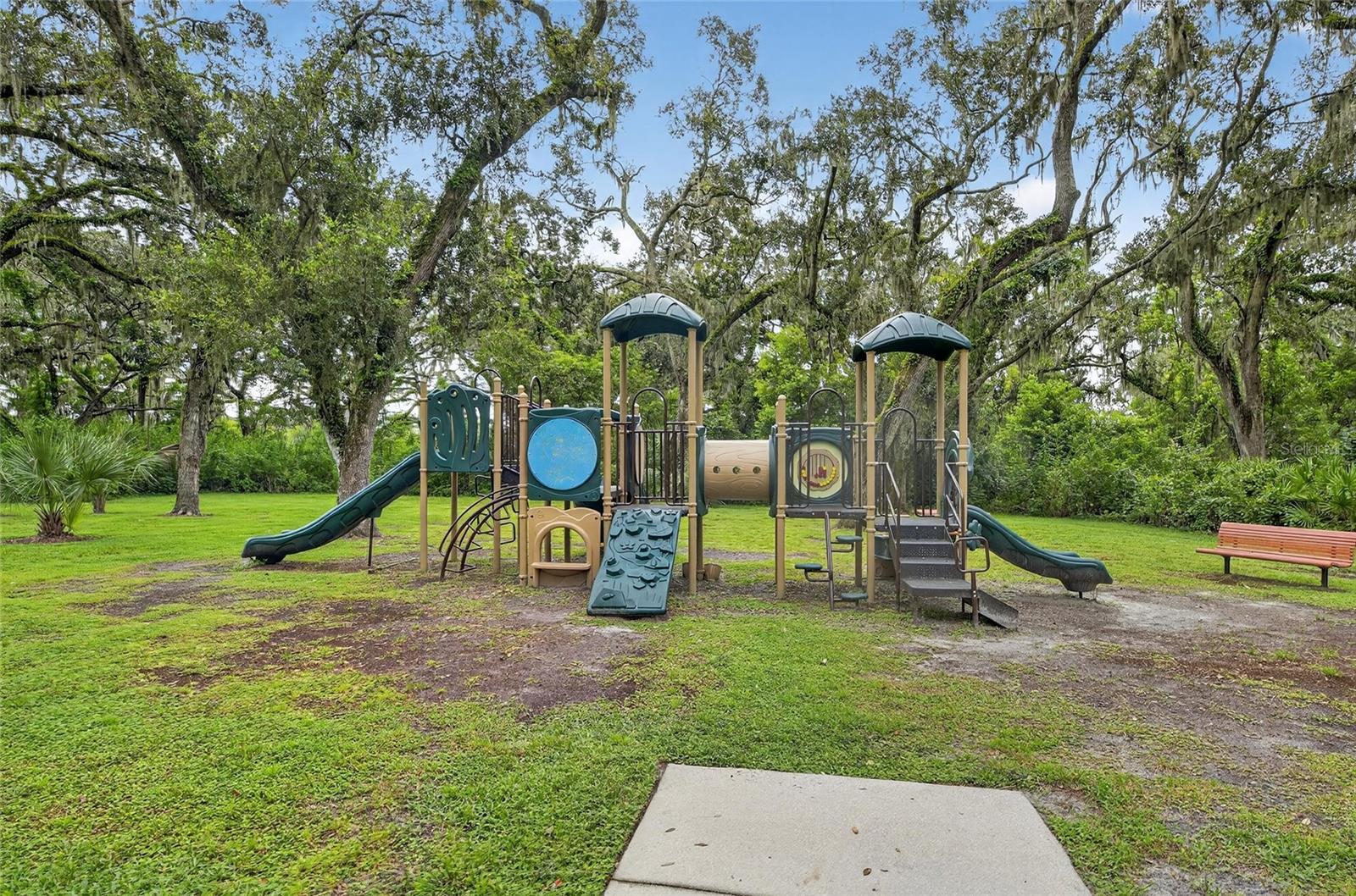 5811 CALDERA RIDGE DR, LITHIA, FL, 33547