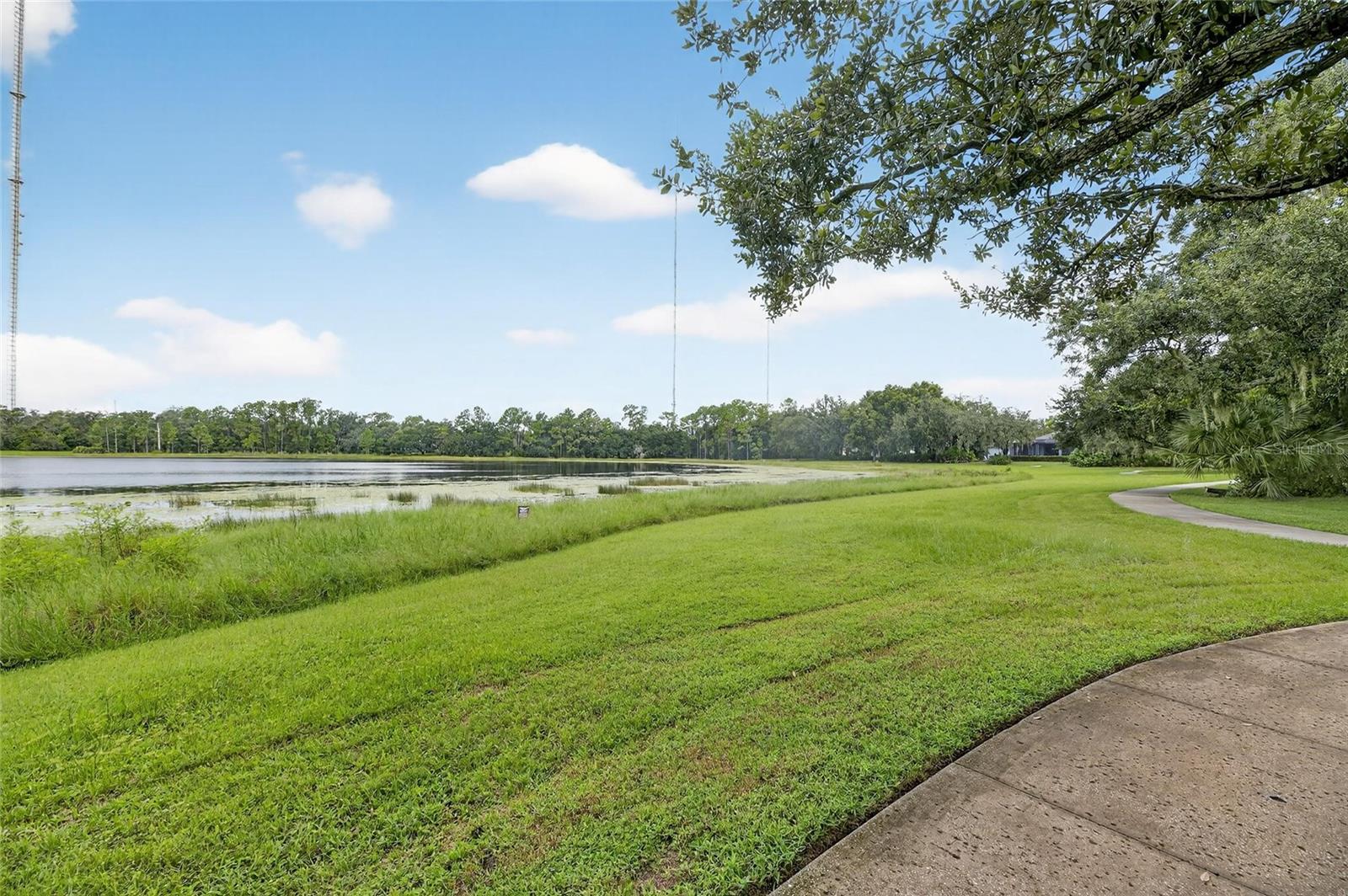 5811 CALDERA RIDGE DR, LITHIA, FL, 33547
