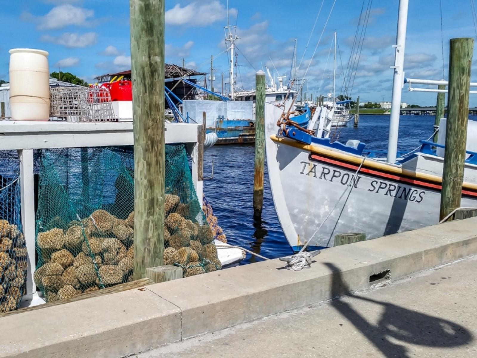 1851 GEORGIA AVE, PALM HARBOR, FL, 34683