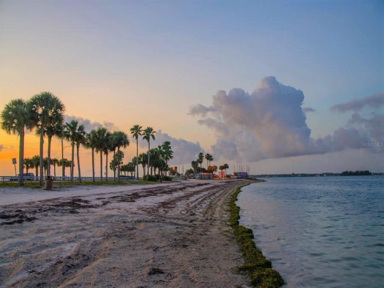 1851 GEORGIA AVE, PALM HARBOR, FL, 34683