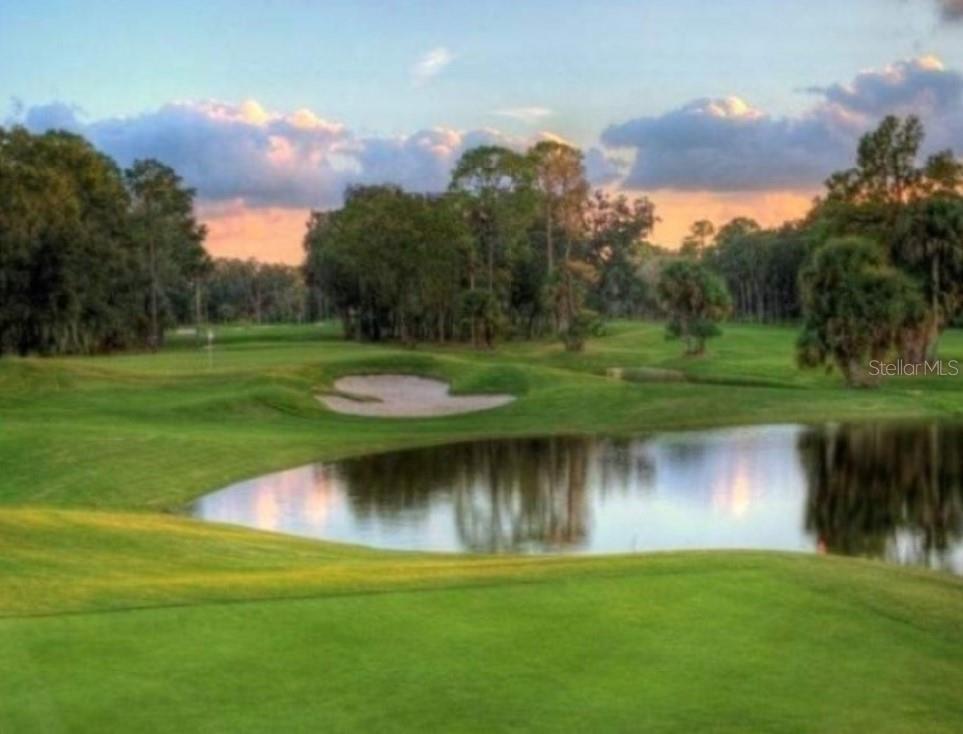 1851 GEORGIA AVE, PALM HARBOR, FL, 34683