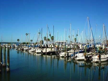 1851 GEORGIA AVE, PALM HARBOR, FL, 34683