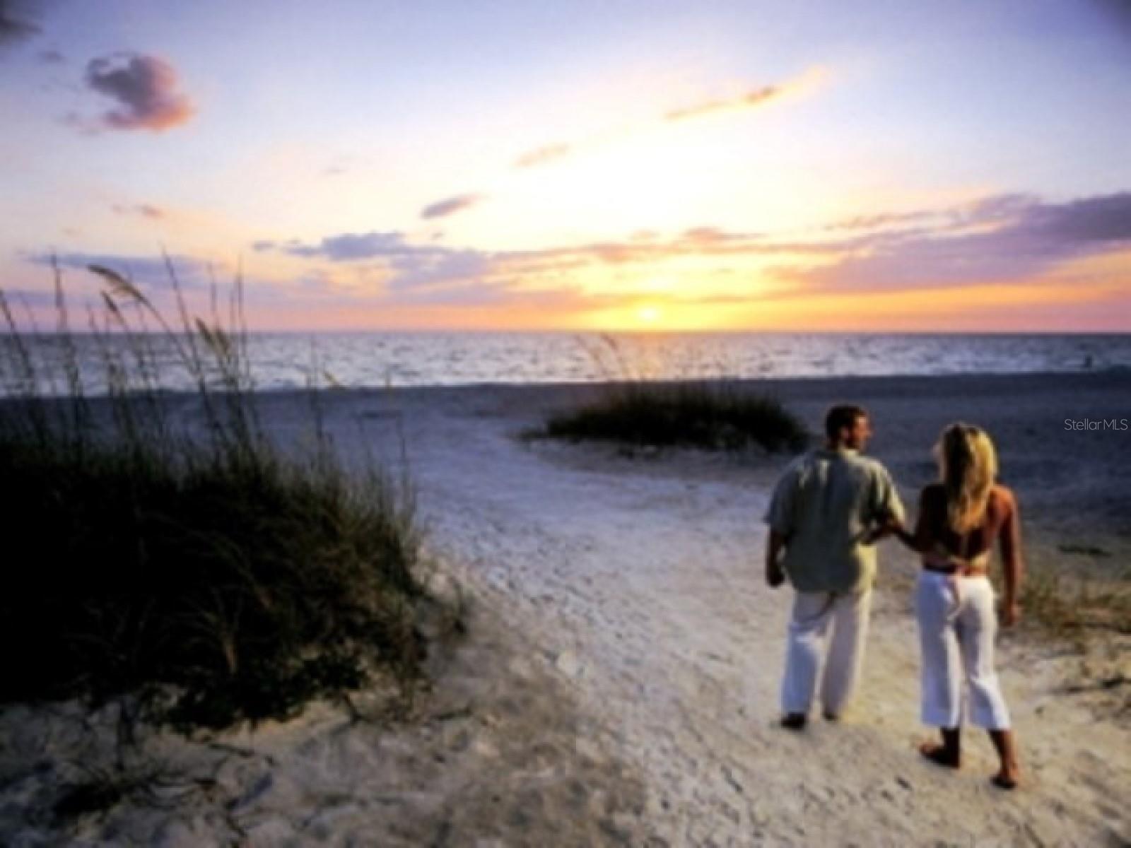 1851 GEORGIA AVE, PALM HARBOR, FL, 34683