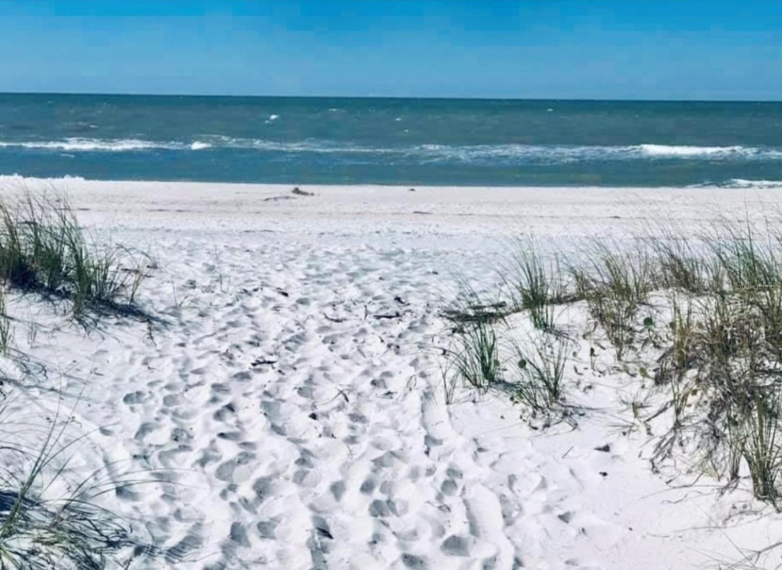 1851 GEORGIA AVE, PALM HARBOR, FL, 34683