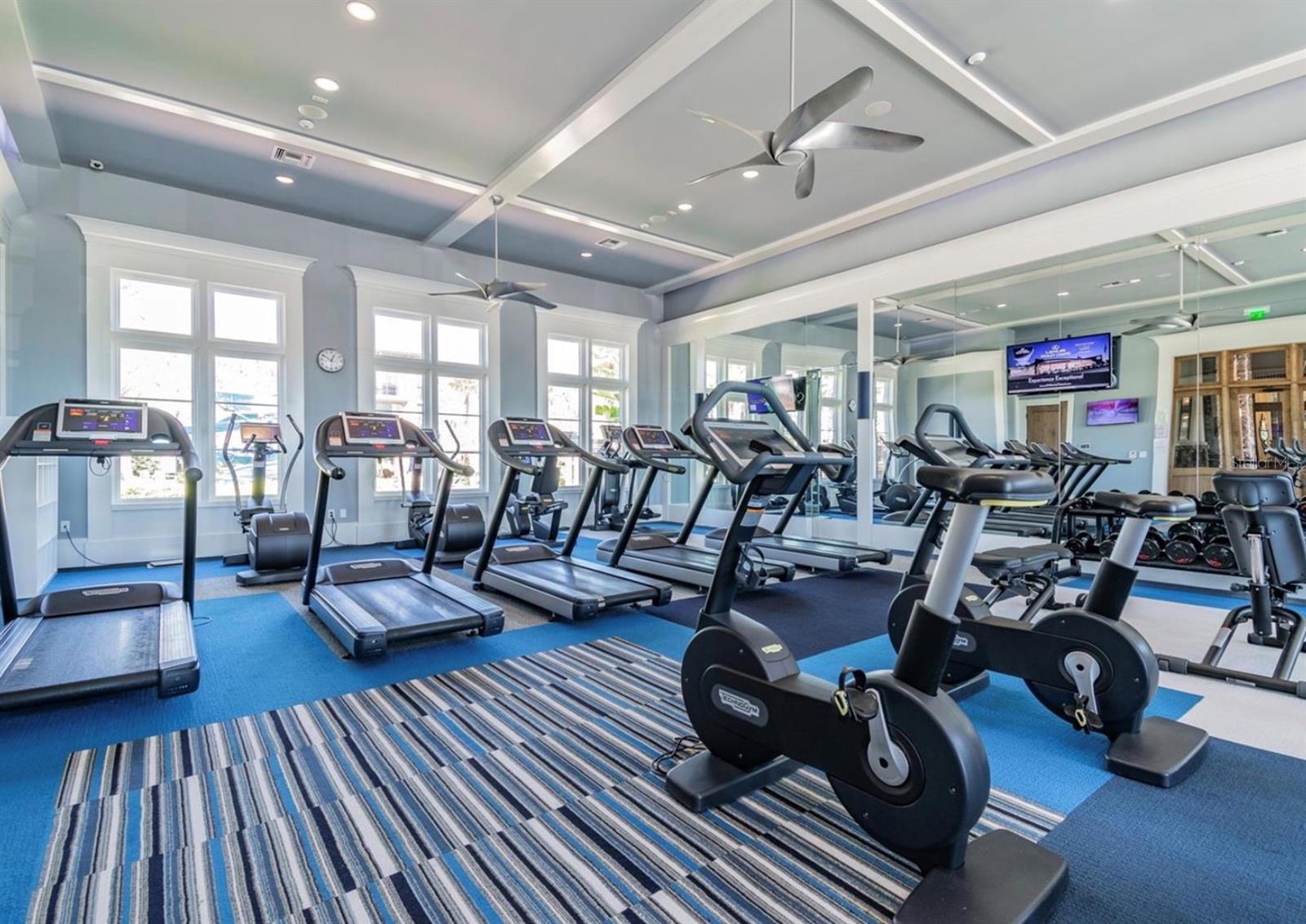 28974 TREVI PL, WESLEY CHAPEL, FL, 33543