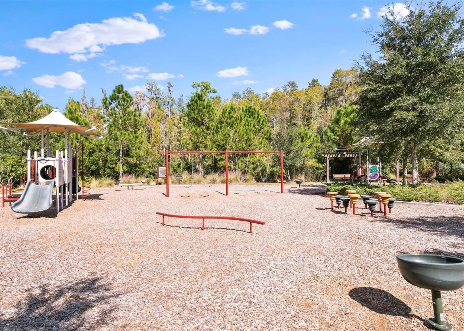 28974 TREVI PL, WESLEY CHAPEL, FL, 33543