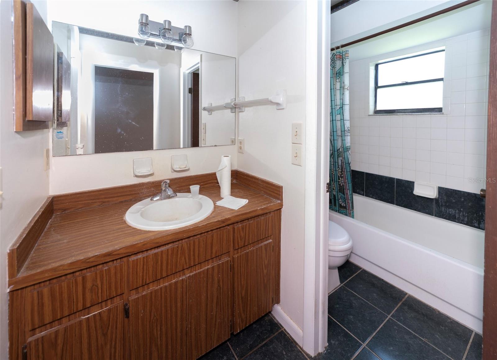 18412 SWAN LAKE DR, LUTZ, FL, 33549