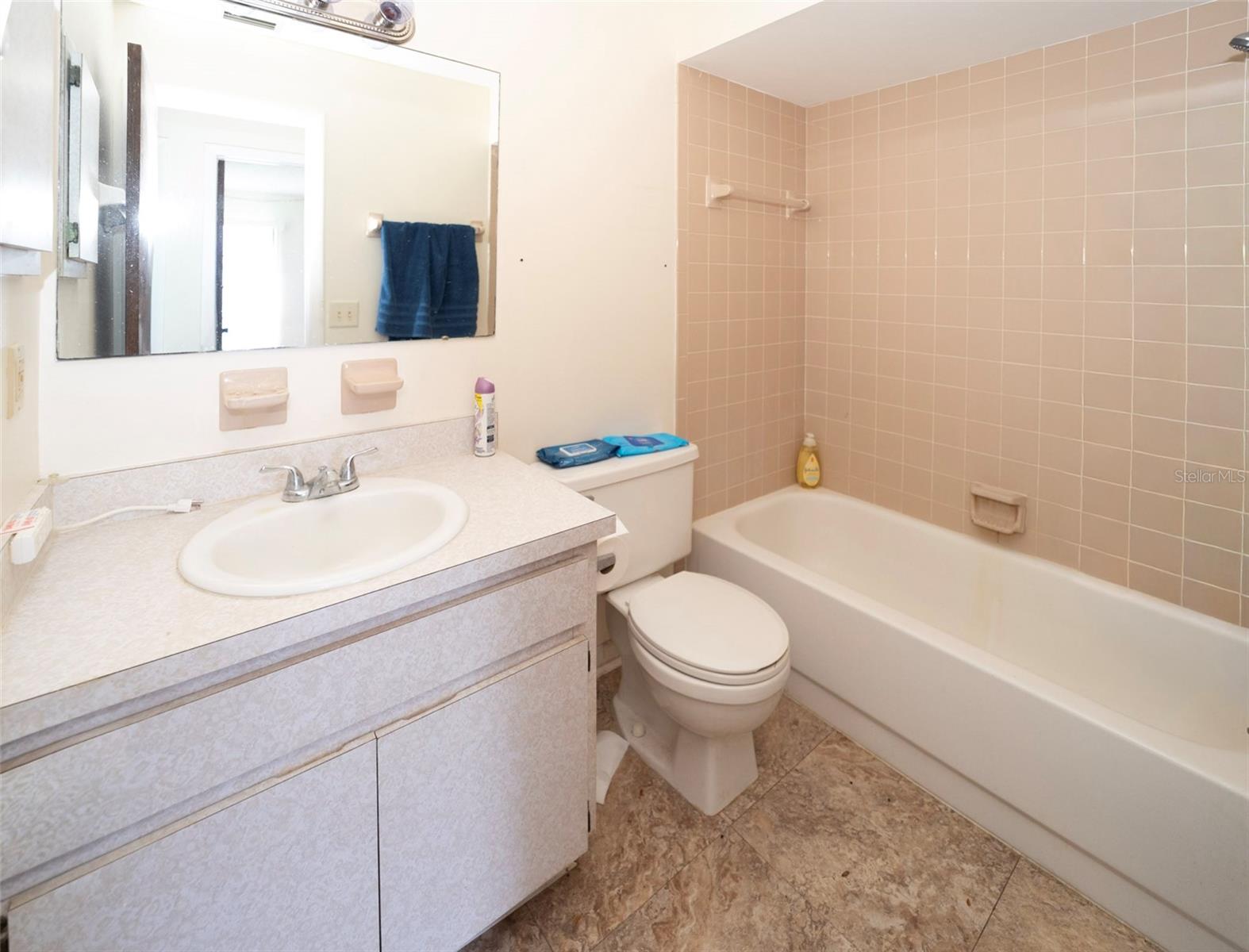 18412 SWAN LAKE DR, LUTZ, FL, 33549