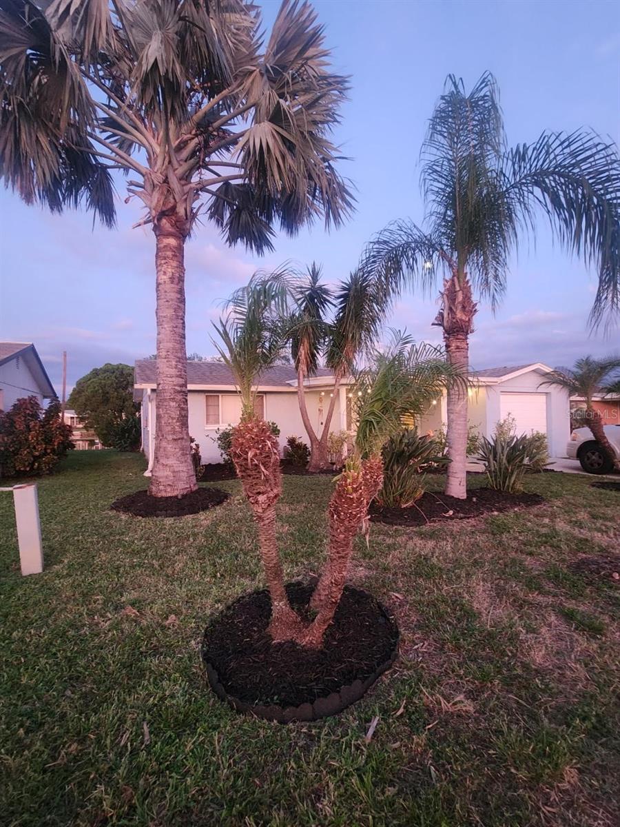 2228 SOCIETY DR, HOLIDAY, FL, 34691