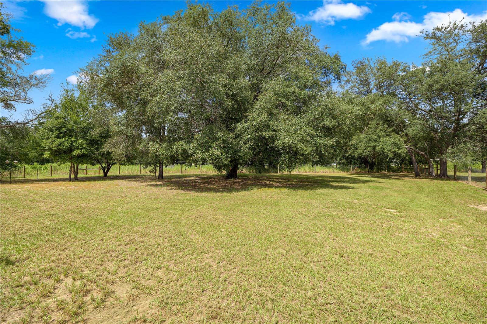 2478 W ANGOLA DR, BEVERLY HILLS, FL, 34465