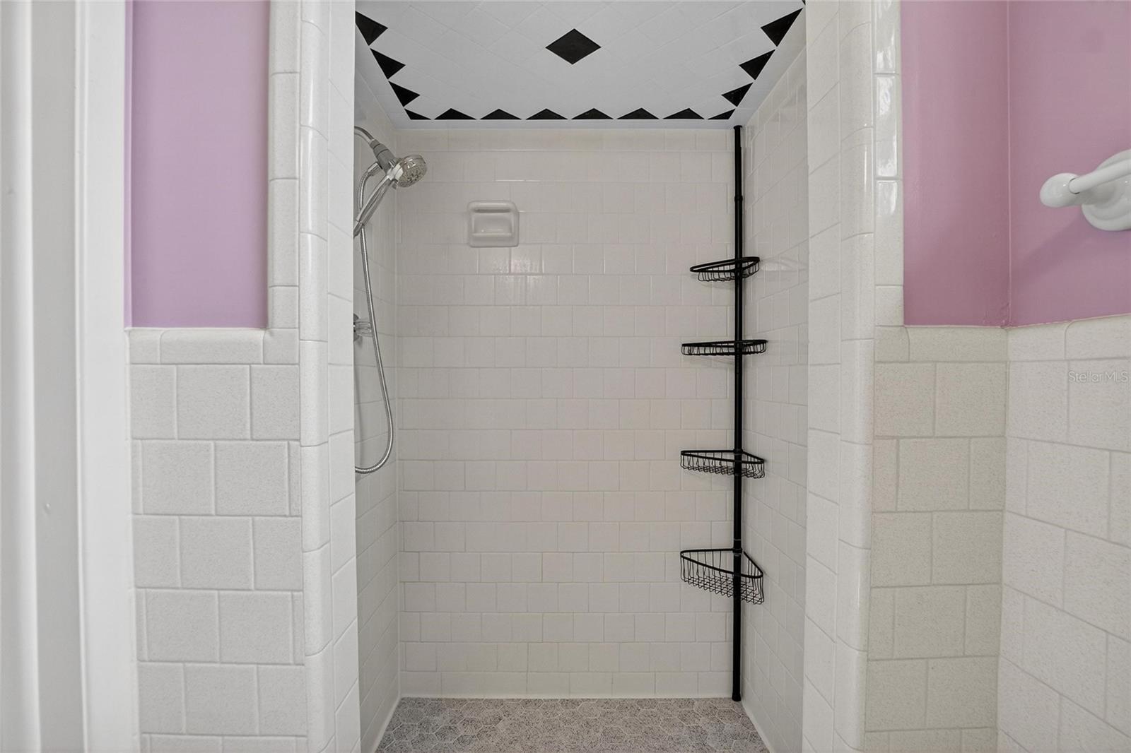 509 N WALKER ST, PLANT CITY, FL, 33563