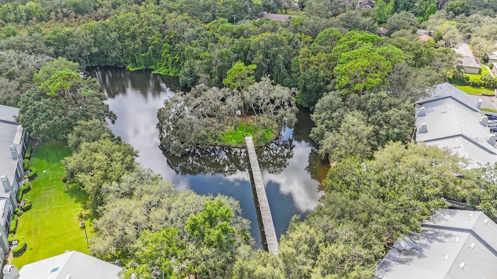 6012 LAKETREE LN #F, TEMPLE TERRACE, FL, 33617