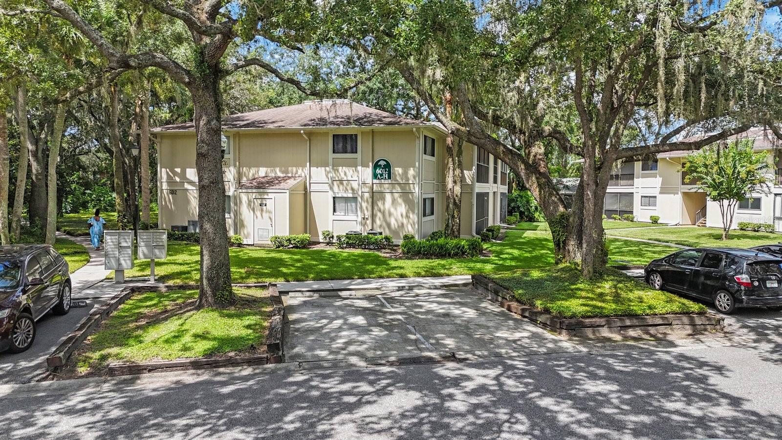 6012 LAKETREE LN #F, TEMPLE TERRACE, FL, 33617