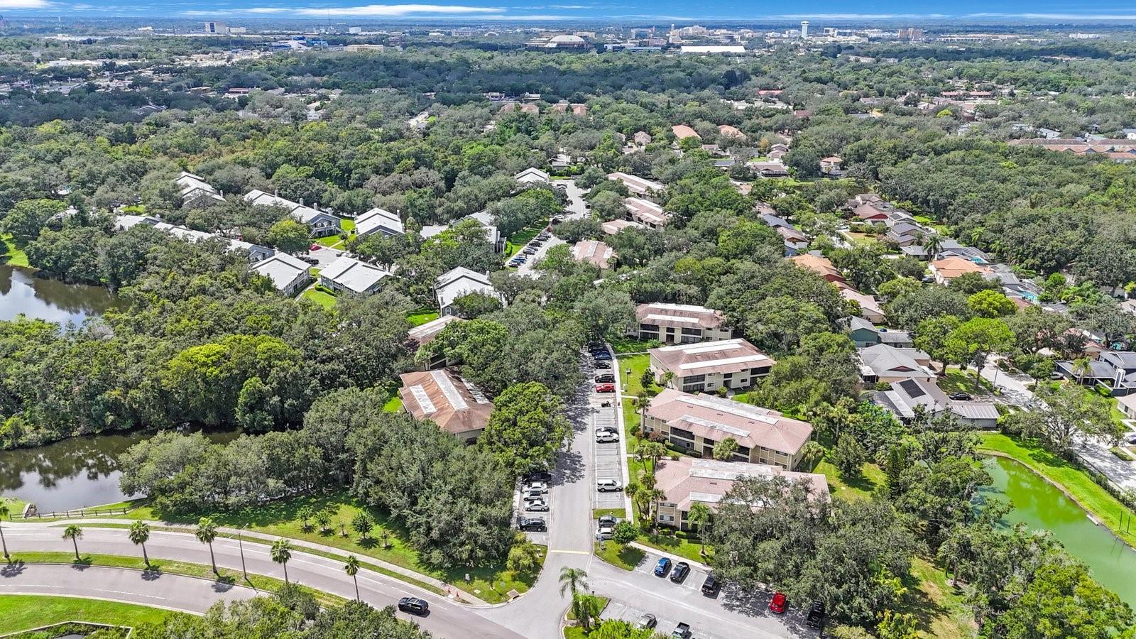 6012 LAKETREE LN #F, TEMPLE TERRACE, FL, 33617