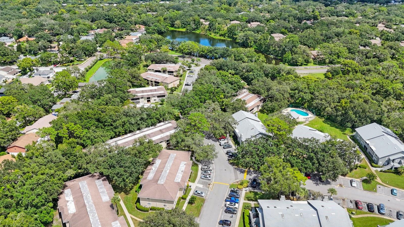 6012 LAKETREE LN #F, TEMPLE TERRACE, FL, 33617