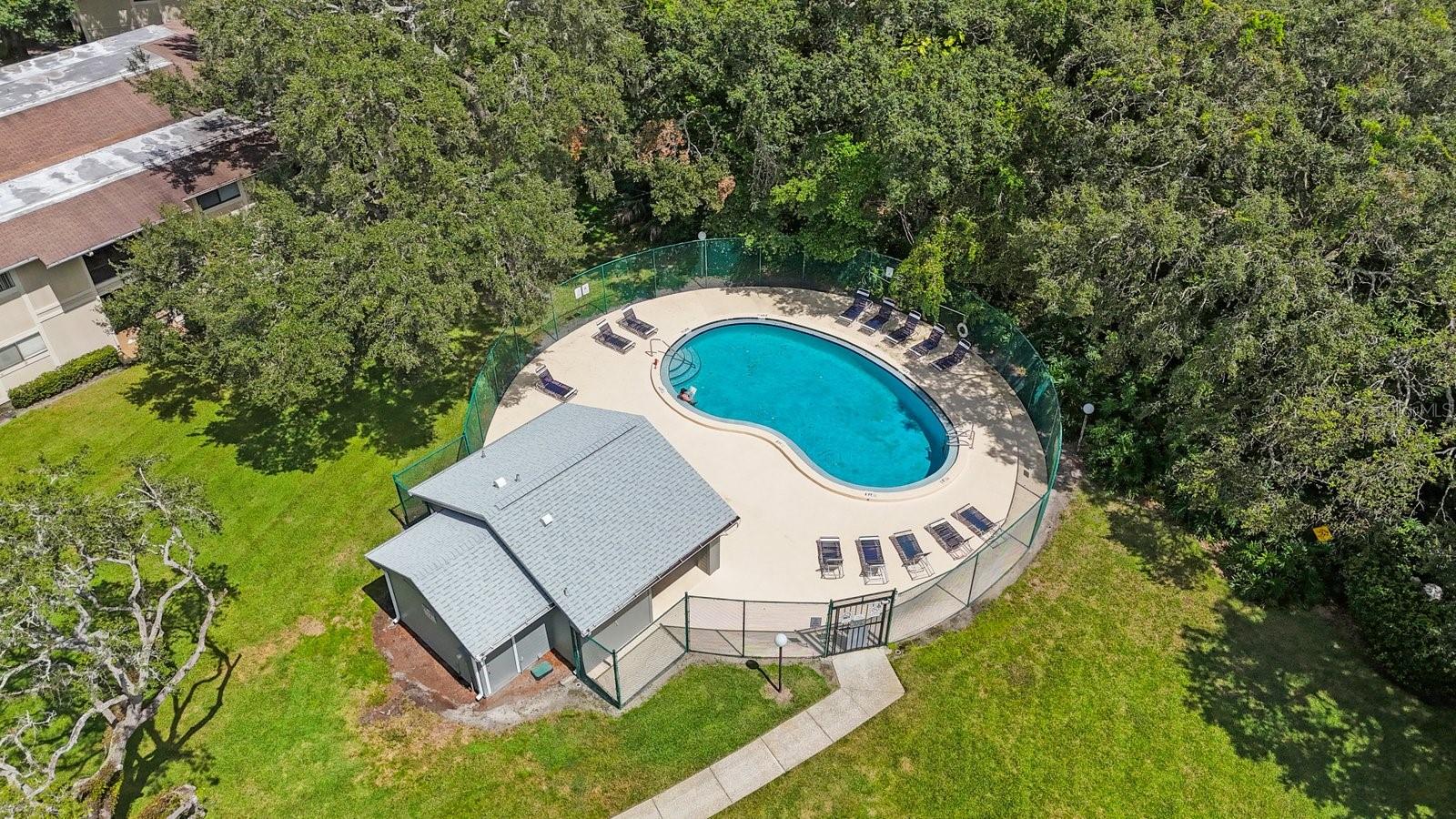 6012 LAKETREE LN #F, TEMPLE TERRACE, FL, 33617