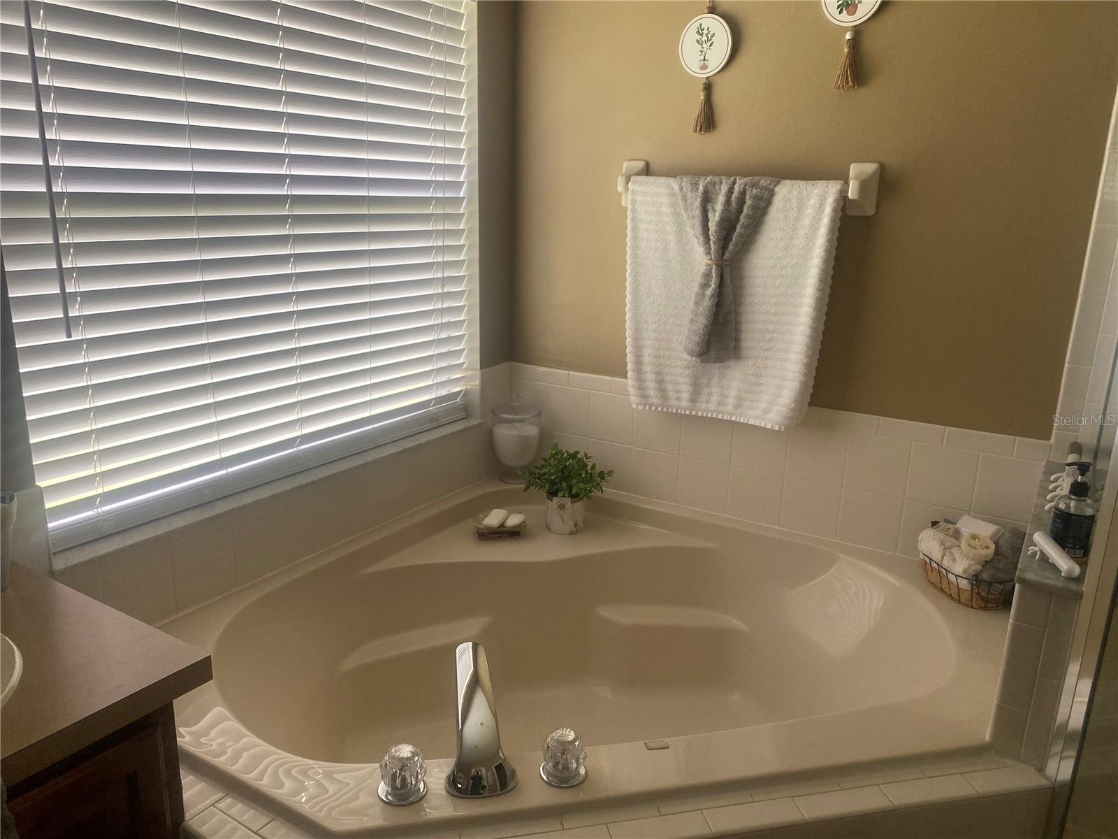 705 STONEWYK WAY, KISSIMMEE, FL, 34744