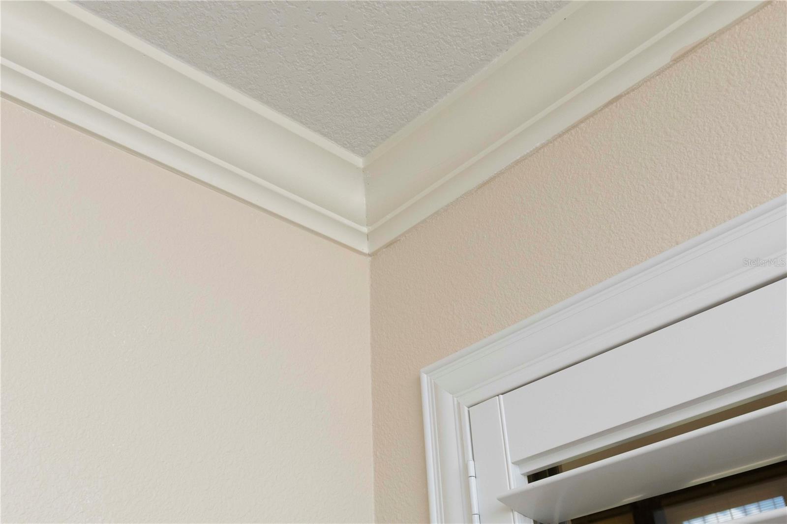 5245 AMULET DR #108, NEW PORT RICHEY, FL, 34652