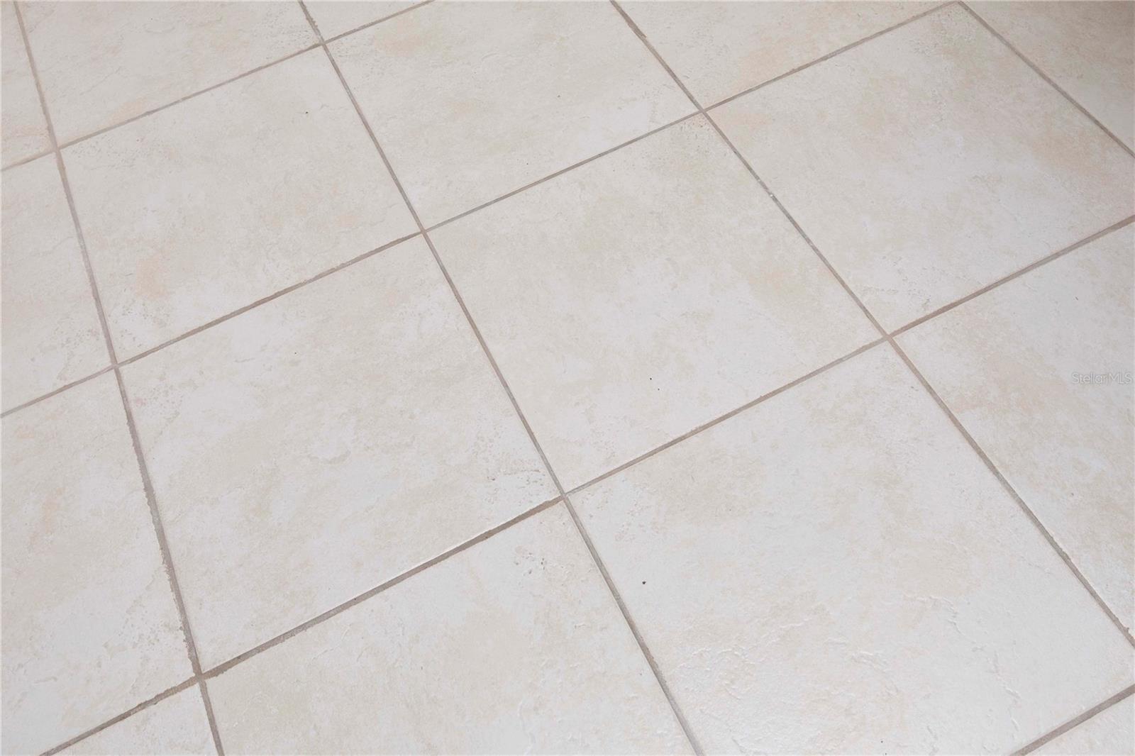 5245 AMULET DR #108, NEW PORT RICHEY, FL, 34652