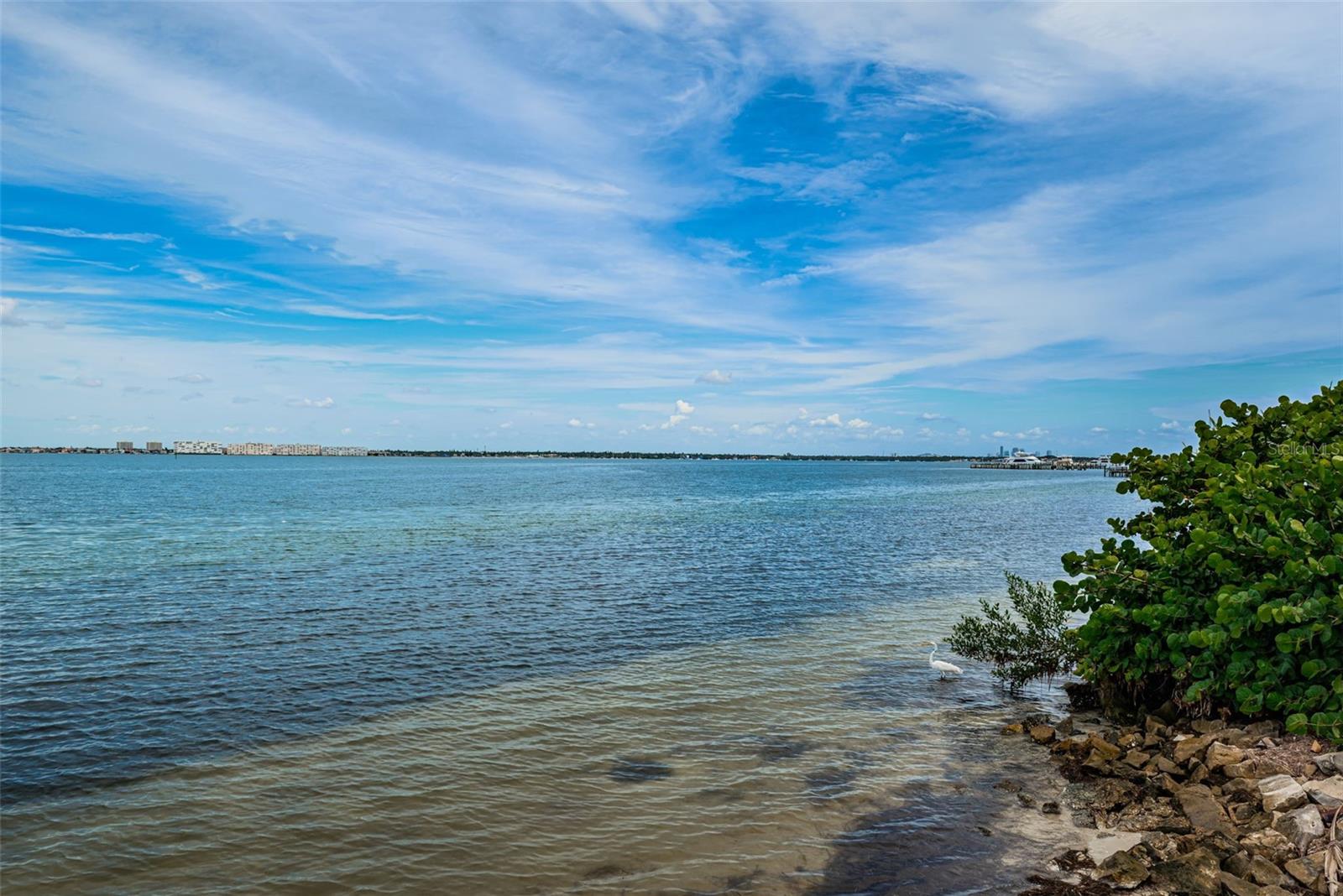 6145 SUN BLVD #107, ST PETERSBURG, FL, 33715