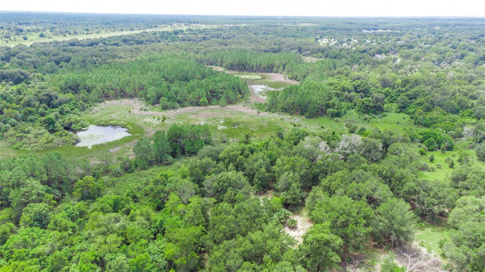 26140 BAIRD AVE, SORRENTO, FL, 32776