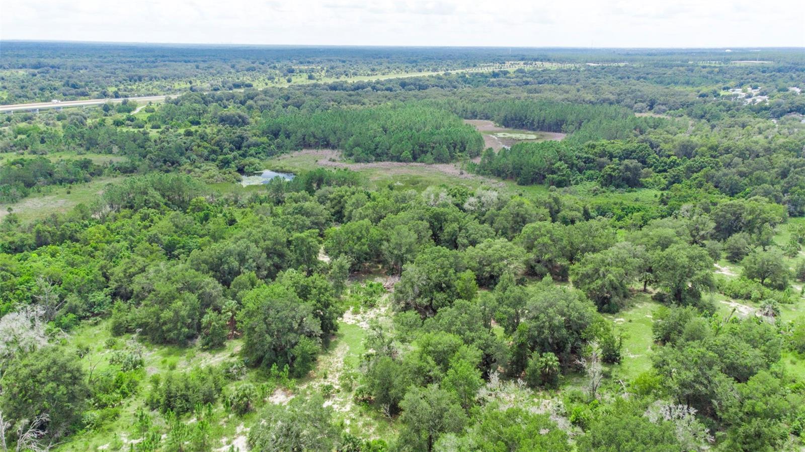 26140 BAIRD AVE, SORRENTO, FL, 32776