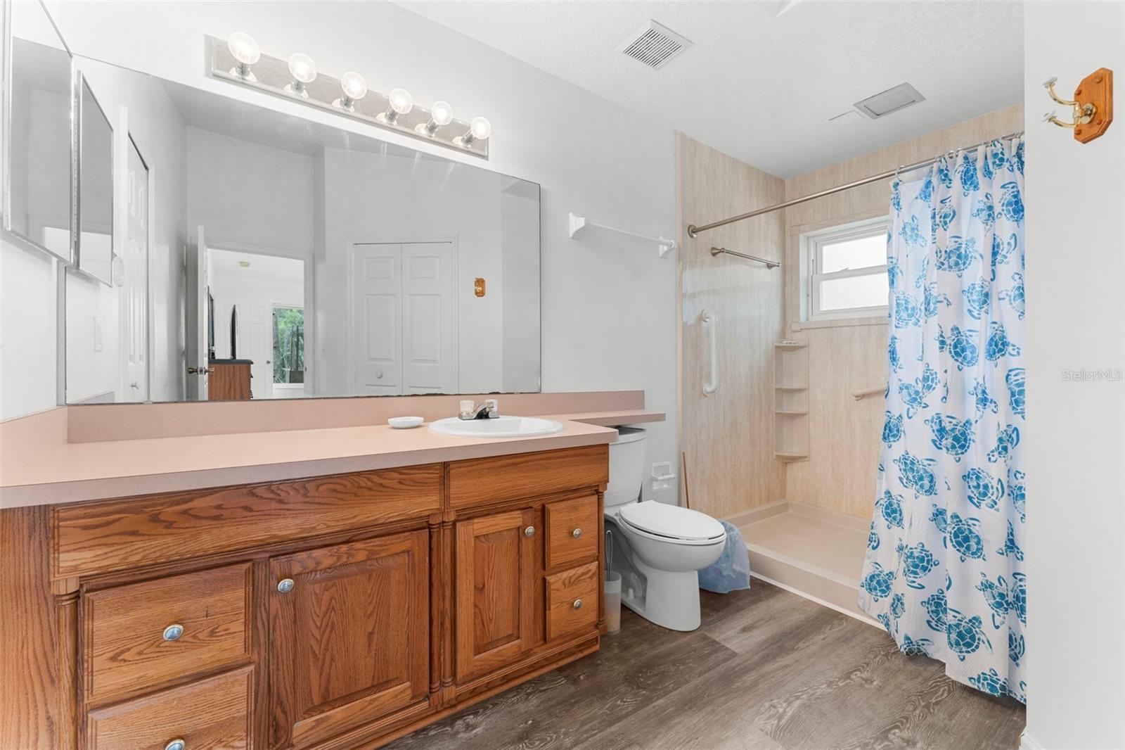 26140 BAIRD AVE, SORRENTO, FL, 32776