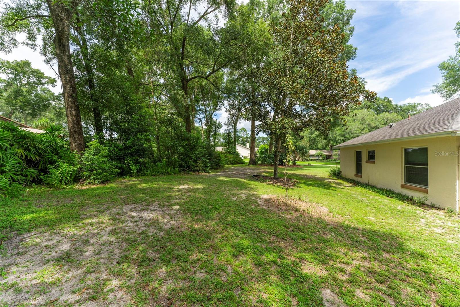 26140 BAIRD AVE, SORRENTO, FL, 32776