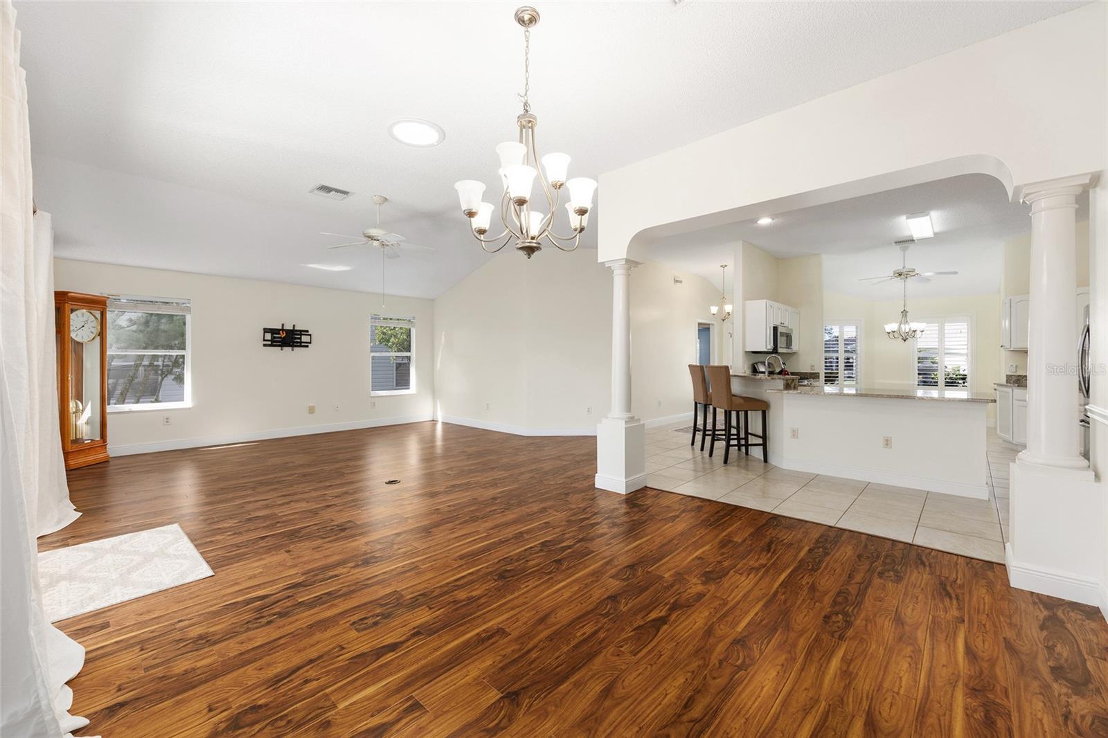 1185 OAK FOREST DR, THE VILLAGES, FL, 32162