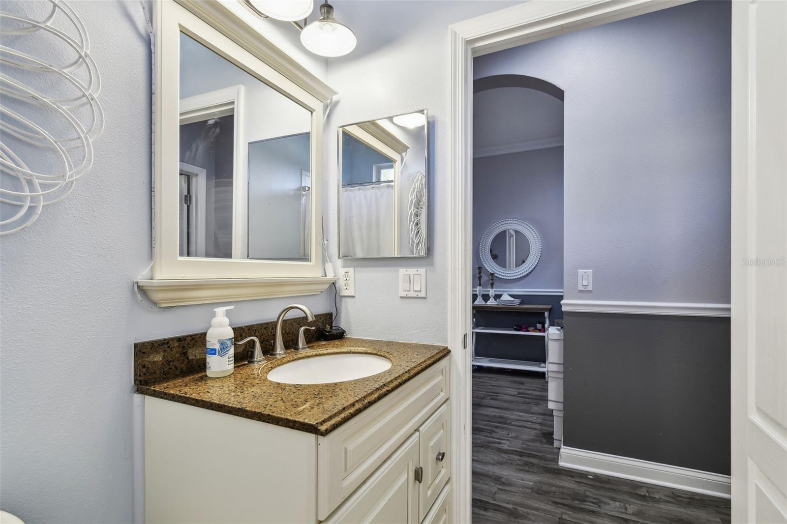 18034 LAKE REFLECTIONS BLVD, LUTZ, FL, 33558