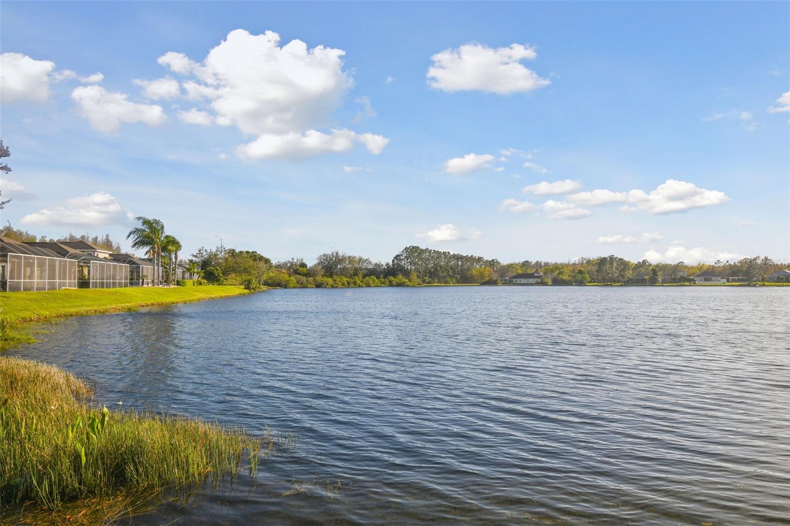 18034 LAKE REFLECTIONS BLVD, LUTZ, FL, 33558