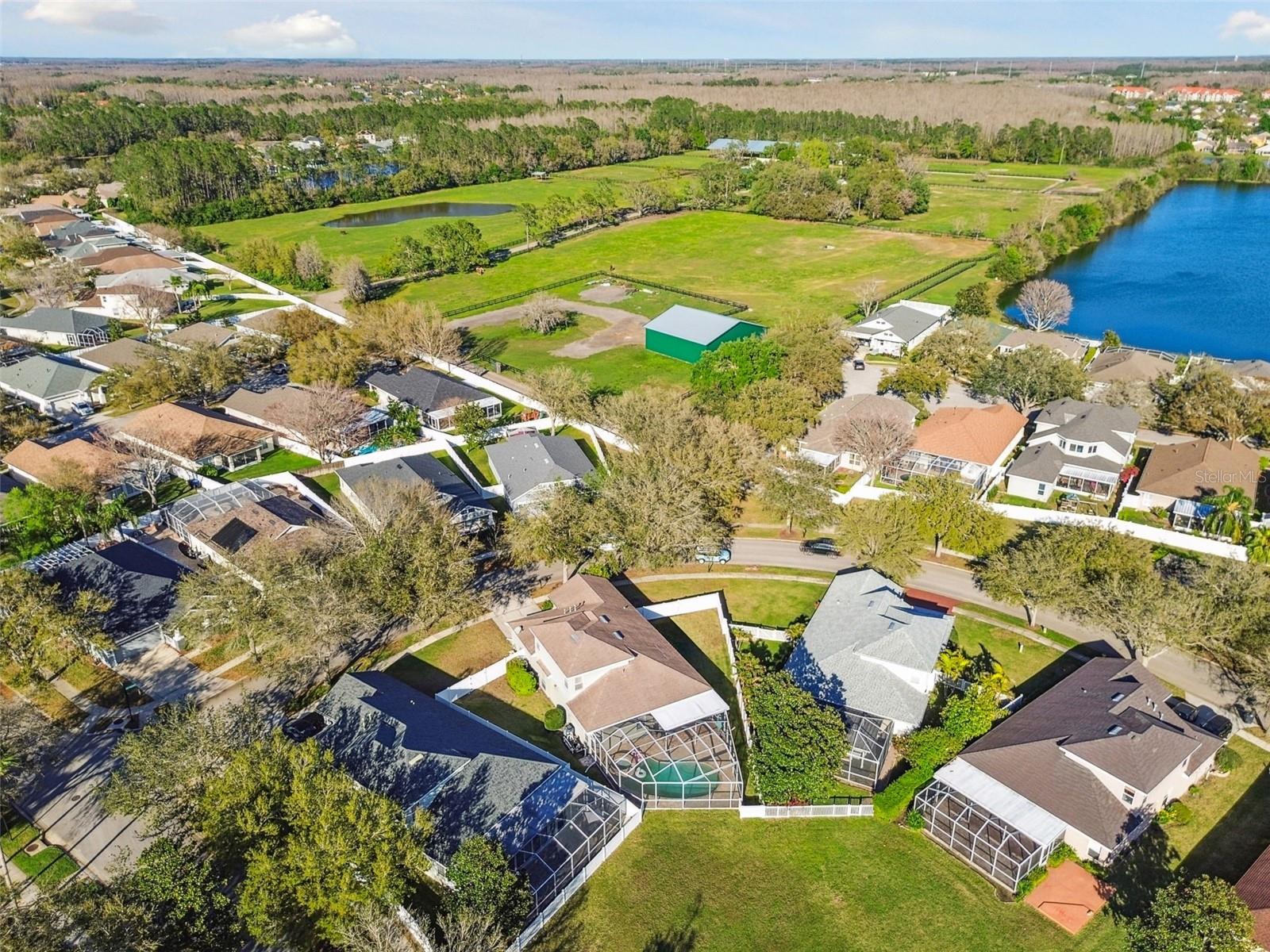 18034 LAKE REFLECTIONS BLVD, LUTZ, FL, 33558