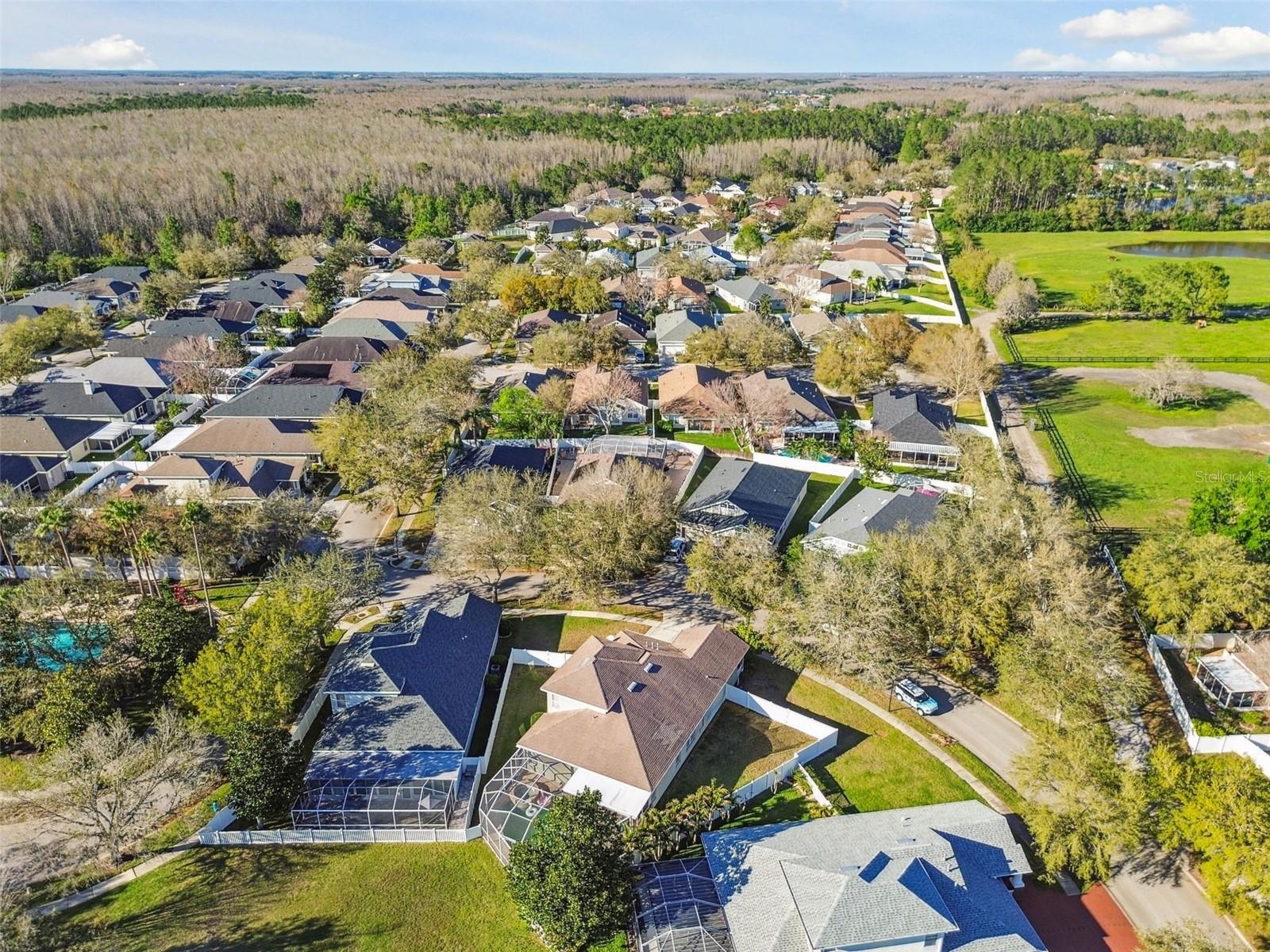 18034 LAKE REFLECTIONS BLVD, LUTZ, FL, 33558